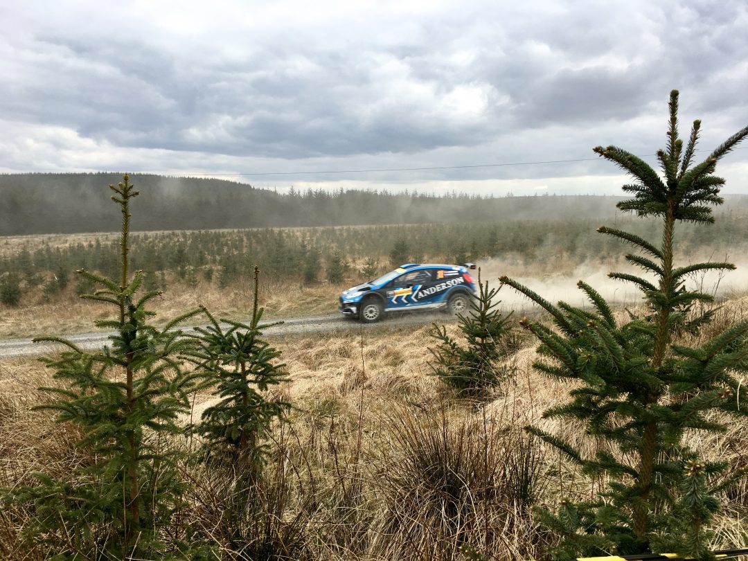 Pirelli International Rally 2017 Kielder Forest
